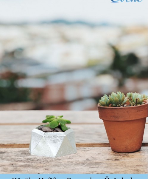 Mini Çiçek Saksı Küçük Sukulent Gümüş Kaktüs Saksısı Mini Poly 2 Model